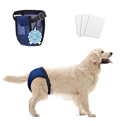 Nobleza Hund Windeln, Waschbar Schutzhose mit 3 Damenbinde, Hundehosen Hündin Läufigkeit, Wiederverwendbare Binde Höschen für Hündinnen, 1 St. Taille 50-59 cm, XL Nobleza Hund Windeln, Waschbar Schutzhose mit 3 Damenbinde, Hundehosen Hündin Läufigkeit, Wiederverwendbare Binde Höschen für Hündinnen, 1 St. Taille 50-59 cm, XL von Nobleza