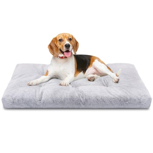 Nobleza Hundebett Mittelgroße Hunde Waschbar, Super Weiches und Flauschiges Anti-Angst Hundebett, Hochwertiges Plüsch Hundebett mit Rutschfestem Boden, Hundekissen, Hundematte rutschfest, 80x50x10 cm Nobleza Hundebett Mittelgroße Hunde Waschbar, Super Weiches und Flauschiges Anti-Angst Hundebett, Hochwertiges Plüsch Hundebett mit Rutschfestem Boden, Hundekissen, Hundematte rutschfest, 80x50x10 cm von Nobleza