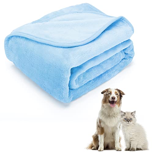 Nobleza Hundedecke Weiche Fleecedecke Waschbare Deck für Haustier Hunde Katzen Welpen Weiche Warme Matte, Blau 75x75cm von Nobleza