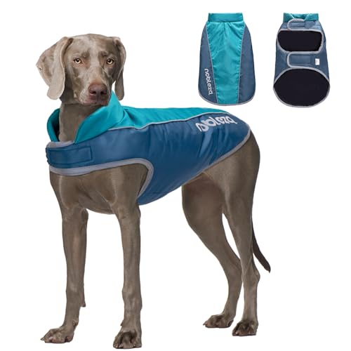 Nobleza - Hundemantel Winter, Warmer Hundemantel Wasserdicht Winddicht, Hundekleidung mit Leinenlöchern, Winterjacke Hund mit Reflektorstreifen für Mittlere und Große Hunde (Blau, 4XL) von Nobleza