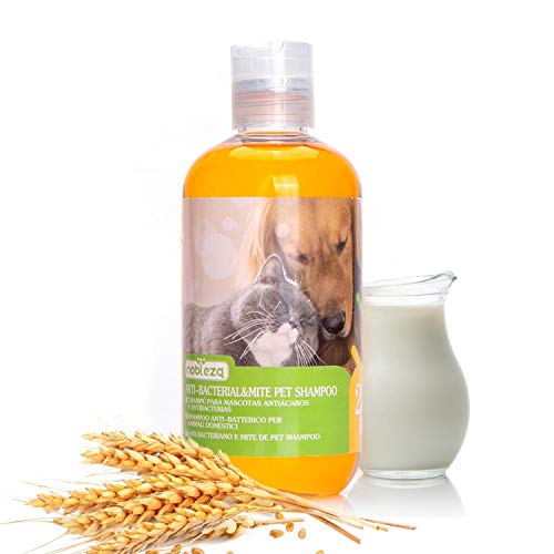 Nobleza Hundeshampoo gegen Juckreiz Milben Pilz, Sensitive-Shampoo Katze, Anti-Bakteriell, Lindert Hautreizungen, auch für Welpen und Kätzchen, flüssig, Zitronengras 250ml von Nobleza