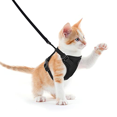 Nobleza Katzengeschirr mit Leine Ausbruchsicher, Verstellbar Weich Reflektierend Cat Harness Set für Kitten Welpe (S,Schwarz) von Nobleza
