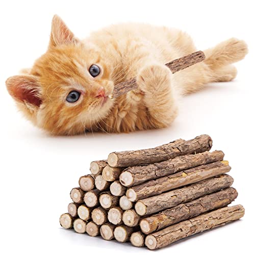Nobleza - Katzenminze Sticks für Katzen, Matatabi Stick Katzensticks, Kauholz Katze Catnip Sticks, Matatabi-Kausticks als Katzenspielzeug, Katzenminze Sticks zum Schleifen von Zähnen, 30 Stück von Nobleza