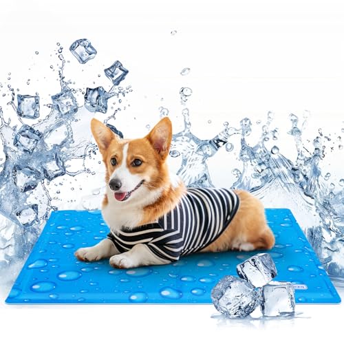 Nobleza Kühlmatte Hund, Kühldecke für Hunde Katze, Kühlkissen mit Ungiftiges Gel, Hundekühlmatte Selbstkühlend für Haustiere & Menschen, 65x50cm Nobleza Kühlmatte Hund, Kühldecke für Hunde Katze, Kühlkissen mit Ungiftiges Gel, Hundekühlmatte Selbstkühlend für Haustiere & Menschen, 65x50cm von Nobleza