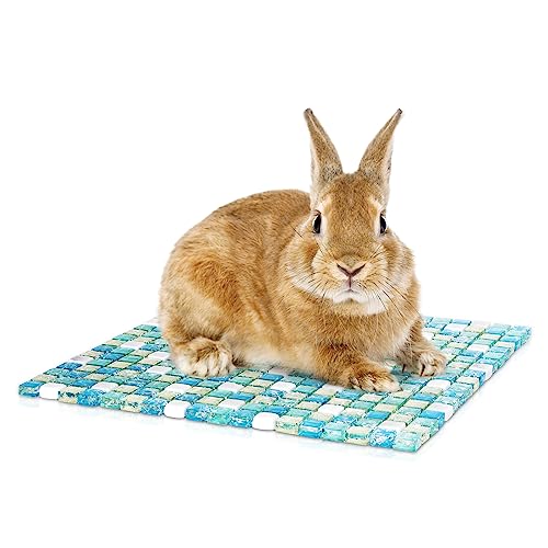 Nobleza - Kühlmatte für Haustiere, Hamster-Kühlkissen für Kaninchen. Sommer-Eisbett zum Kühlen von Haustieren für Meerschweinchen (30 * 30CM) von Nobleza
