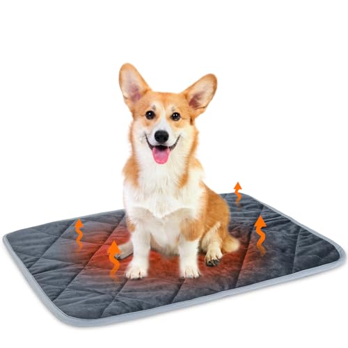 Nobleza Selbstheizende Decke für Katzen & Hunde, Haustiere Wärmematte, Waschbare Welpen Thermodecke, Selbstwärmende Winter Wärme Hundematte, Hund rutschfest Wärmedecke, Größe L 70x48cm Nobleza Selbstheizende Decke für Katzen & Hunde, Haustiere Wärmematte, Waschbare Welpen Thermodecke, Selbstwärmende Winter Wärme Hundematte, Hund rutschfest Wärmedecke, Größe L 70x48cm von Nobleza