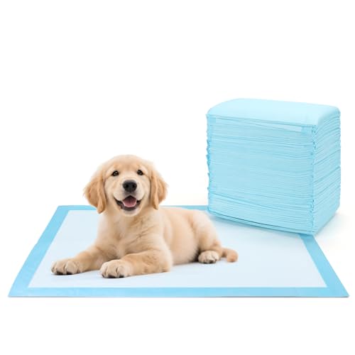 Nobleza Trainingspads für Hunde und Welpen, PIPI Matten für Hunde, 100 Stück Saugfähige Wickelunterlage Einweg und Inkontinenzunterlage Einweg mit 5-Lagiges Design 60x60 cm Nobleza Trainingspads für Hunde und Welpen, PIPI Matten für Hunde, 100 Stück Saugfähige Wickelunterlage Einweg und Inkontinenzunterlage Einweg mit 5-Lagiges Design 60x60 cm von Nobleza