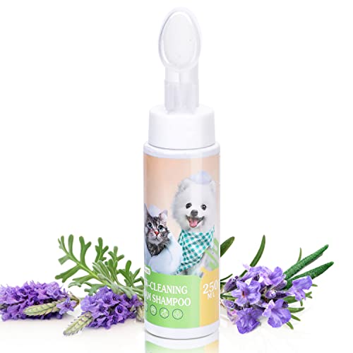Nobleza Trocken-Schaum-Shampoo für Hunde und Katzen und Kaninchen,Nach dem Spaziergang mit dem Hund, Vor dem Zubettgehen,Shampoo für Kätzchen und Welpen,Lavendelduft 250 ml Nobleza Trocken-Schaum-Shampoo für Hunde und Katzen und Kaninchen,Nach dem Spaziergang mit dem Hund, Vor dem Zubettgehen,Shampoo für Kätzchen und Welpen,Lavendelduft 250 ml von Nobleza