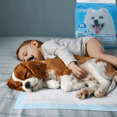 Nobleza Welpenunterlage 90x60cm mit Lavendelduft Reduziert Gerüche, PIPI Matten für Hunde (50 STK), Trainingspads Auslaufsicher & Trocknender Oberfläche! Wickelunterlagen Einweg von Nobleza