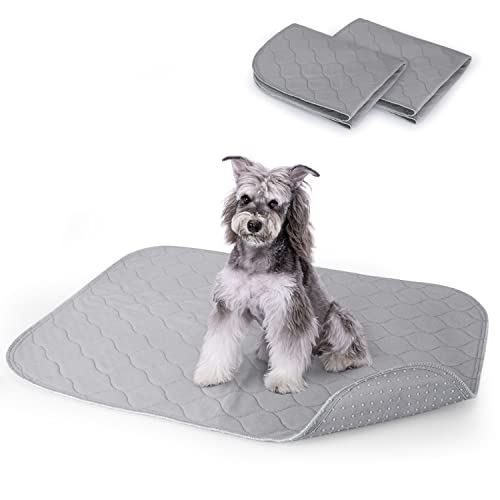 Nobleza Welpenunterlage Inkontinenzunterlage Waschbar, Trainingsunterlagen für Haustier Hundematte Bodenschutz Waschbare Wiederverwendbar rutschfeste Unterlage für Welpen Hunde Katzen, 75×89CM/2 Pack Nobleza Welpenunterlage Inkontinenzunterlage Waschbar, Trainingsunterlagen für Haustier Hundematte Bodenschutz Waschbare Wiederverwendbar rutschfeste Unterlage für Welpen Hunde Katzen, 75×89CM/2 Pack von Nobleza