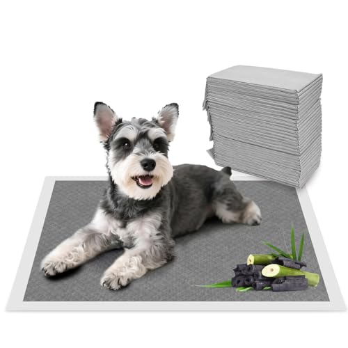 Nobleza Welpenunterlage mit Aktivkohle Neutralisiert Gerüche, PIPI Matten für Hunde 60x60cm, Trainingspads Auslaufsicher & Sofort trocken! Wickelunterlagen Einweg (100 STK) von Nobleza