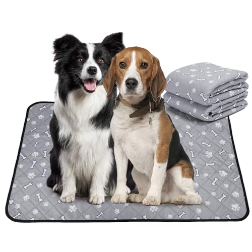 Nobleza Wiederverwendbare Welpenunterlagen, 2er Set Waschbar Haustier-Urinunterlage, 120 x 90 cm Schnell Absorbierend Trainingsunterlagen für Welpen, Alte, oder inkontinente Hunde, rutschfest Nobleza Wiederverwendbare Welpenunterlagen, 2er Set Waschbar Haustier-Urinunterlage, 120 x 90 cm Schnell Absorbierend Trainingsunterlagen für Welpen, Alte, oder inkontinente Hunde, rutschfest von Nobleza