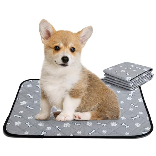 Nobleza Wiederverwendbare Welpenunterlagen, 2er Set Waschbar Haustier-Urinunterlage, 60 x 45 cm Schnell Absorbierend Trainingsunterlagen für Welpen, Alte, oder inkontinente Hunde, rutschfest Nobleza Wiederverwendbare Welpenunterlagen, 2er Set Waschbar Haustier-Urinunterlage, 60 x 45 cm Schnell Absorbierend Trainingsunterlagen für Welpen, Alte, oder inkontinente Hunde, rutschfest von Nobleza