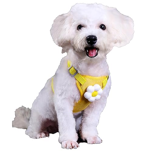 Easy Walk Hundegeschirr - Hundegeschirr und Leine-Set | Haustiergeschirr für kleine Hunde mit Leine, verstellbares, Nicht erstickendes Haustierzubehör, Doppelverschluss-Welpengeschirr für den Nocapam von Nocapam