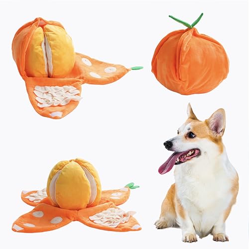 Nocciola Hide and Seek Plüsch-Hundespielzeug, 5 Stück, interaktives Hundespielzeug für kleine Hunde, quietschendes Hundespielzeug mit Knisterpapieren, Puzzle-Spielzeug für Langeweile, Nocciola Hide and Seek Plüsch-Hundespielzeug, 5 Stück, interaktives Hundespielzeug für kleine Hunde, quietschendes Hundespielzeug mit Knisterpapieren, Puzzle-Spielzeug für Langeweile, von Nocciola