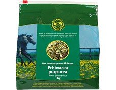 Nösenberger Echinacea purpurea 10 kg Nösenberger Echinacea purpurea 10 kg von Ewbob