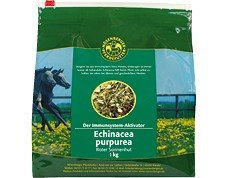 Nösenberger Echinacea purpurea 10 kg von Nösenberger