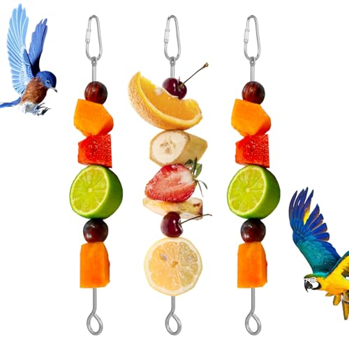 Nogeqi 3 Stück Edelstahl Vogel Spielzeug für Obst, Wellensittich Spielzeug Obstspiess, Papageienspielzeug Futterspieß Vogelkäfig Zubehör Futterspender für Papageien Hühner Silber von Nogeqi