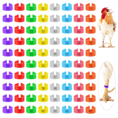 Nogeqi 80 Stück Hühnerringe 16mm, Bunt Hühner Ringe, Geflügel Fußringe, Poultry Beinringe Geflügelringe, Chicken Leg Bands Vogelringe Fußringe Wachteln für Küken, Enten, Gänse Und Anderes Geflügel von Nogeqi