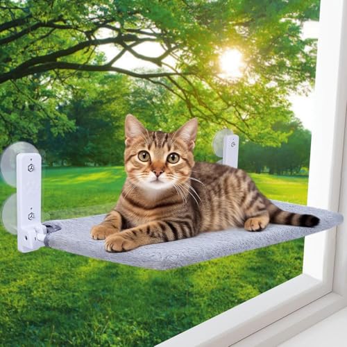 Große Katzen Hängematte Fenster,52x30cm Katzenbett Fenster mit Abnehmbare Plüschunterlage,Faltbare Hängematte Katze Fenster Stabil für Katzen,Katzen Hängematte mit 4 starken Saugnäpfen hält 25kg(Grau) von Nokwocy