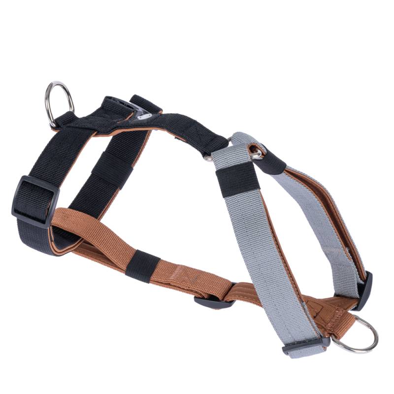 Nomad Tales Spirit Geschirr Multi Ring - Größe L: ca. 55 - 80 cm Brustumfang Nomad Tales Spirit Geschirr Multi Ring - Größe L: ca. 55 - 80 cm Brustumfang von Nomad Tales