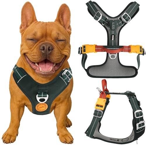 Nomadog Trailblazer Anti Zug Hundegeschirr Gepolstert Mit Haltegriff – Ideal Für Aktive Hunde & Abenteuer Im Freien – Reflektierend, Verstellbar, Aluminium Ringe - Hundegeschirr Kleine Hunde (S) von Nomadog