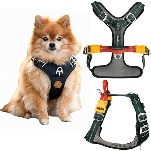 Nomadog Trailblazer Anti Zug Hundegeschirr Gepolstert Mit Haltegriff – Ideal Für Aktive Hunde & Abenteuer Im Freien – Reflektierend, Verstellbar, Aluminium Ringe - Hundegeschirr Kleine Hunde (XS) von Nomadog