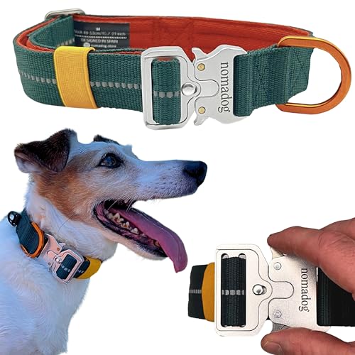 Nomadog Trailblazer Hundehalsband Kleine Hunde - Premium Aluminium-Schnalle, Strapazierfähig, Verstellbar, Gepolstert, Reflektierend (S) von Nomadog