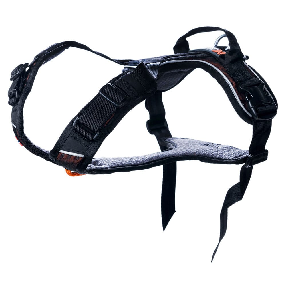 Non-stop dogwear® Hundegeschirr Rock Harness black/orange, Gr. XL, Brustumfang: ca. 71 - 108 cm, Halsumfang: ca. 60 - 84 cm von Non-stop dogwear®