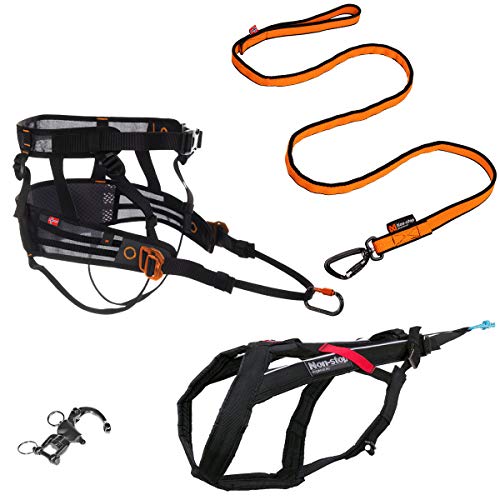 Non-stop dogwear Canicross Komplett-Set | PanikSnap, Bungee Leash 2m, CaniX Belt Größe:M, Zugeschirr Größe:8 Non-stop dogwear Canicross Komplett-Set | PanikSnap, Bungee Leash 2m, CaniX Belt Größe:M, Zugeschirr Größe:8 von Non-stop dogwear
