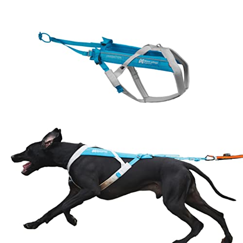 Non-stop dogwear FREEMOTION Harness 5.0 |111| Blue/Grey | Hunde-Geschirr für alle Sportarten, Größe:8 von Non-stop dogwear