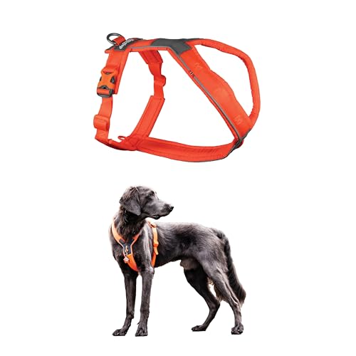 Non-stop dogwear Line Harness 5.0 |218| Führ und Alltagsgeschirr, Farbe:Orange, Größe:G 2 von Non-stop dogwear