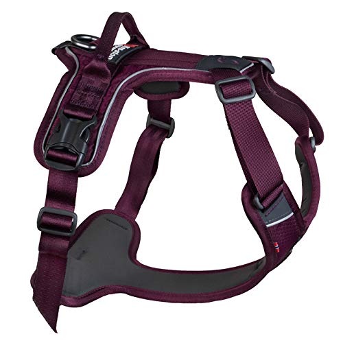 Non-stop dogwear Ramble Harness |Purple| Führ und Alltagsgeschirr, Größe:M von Non-stop dogwear