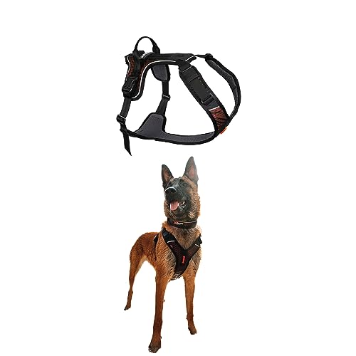 Non-stop dogwear Rock Harness |130| Führ und Alltagsgeschirr, Größe:L von Non-stop dogwear