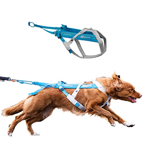 Non-stop dogwear FREEMOTION Harness 5.0 |111| Blue/Grey | Hunde-Geschirr für alle Sportarten, Größe:5 von Non-stop dogwear