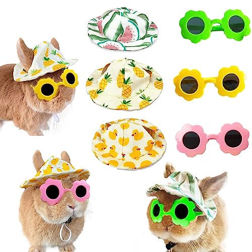 6 Stück kleine Tier-Sommerhüte und Sonnenbrille, kleines Haustier-Kostüm, Outfit, Zubehör für Kaninchen, Kätzchen, Meerschweinchen, Welpen, Chinchilla, Frettchen von Nopikku