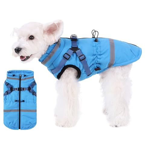 Hundemantel mit integriertem Geschirr, Größe M, wasserdicht, winddicht, reflektierend, Rollkragen und Reißverschluss, Mäntel für große Hunde bei kaltem Wetter Hundemantel mit integriertem Geschirr, Größe M, wasserdicht, winddicht, reflektierend, Rollkragen und Reißverschluss, Mäntel für große Hunde bei kaltem Wetter von Norbi