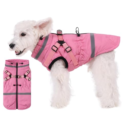 Hundemantel mit integriertem Geschirr, Größe M, wasserdicht, winddicht, reflektierend, Rollkragen und Reißverschluss, Mäntel für große Hunde bei kaltem Wetter Hundemantel mit integriertem Geschirr, Größe M, wasserdicht, winddicht, reflektierend, Rollkragen und Reißverschluss, Mäntel für große Hunde bei kaltem Wetter von Norbi