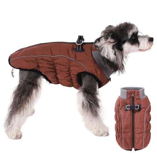 Norbi Hundemantel mit Geschirr, reflektierender, gemütlicher Hundemantel für kleine Hunde, solide Hundejacke, kaltes Wetter Norbi Hundemantel mit Geschirr, reflektierender, gemütlicher Hundemantel für kleine Hunde, solide Hundejacke, kaltes Wetter von Norbi