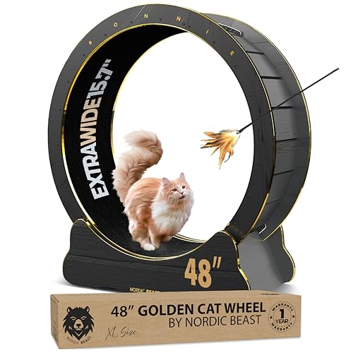 121,9 cm goldenes Katzenrad - Größe, die die Wirbelsäule der Katze nicht negativ beeinflusst - Katzenlaufrad, Katzenlaufrad, Katzenlaufrad für Innenkatzen, Katzenlaufrad, Katzenlaufband für den von Nordic Beast