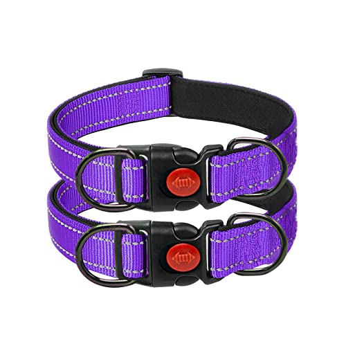 Reflektierendes Hundehalsband, weiches Neopren, gepolstert, atmungsaktives Nylon, verstellbares Nylon-Haustierhalsband für kleine, mittelgroße und große Hunde (lila, S (2 Stück)) von Nordkawa