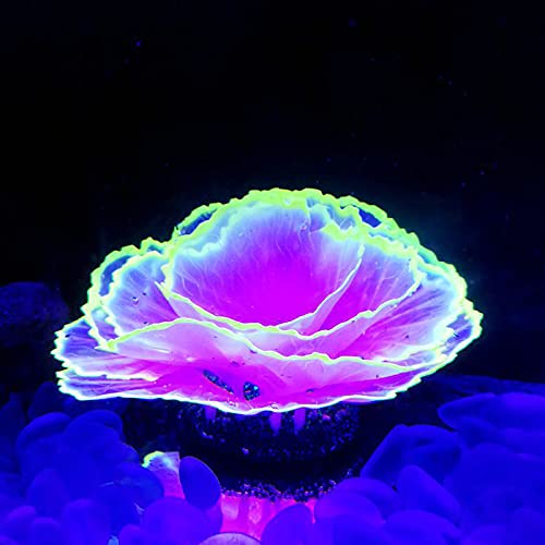 Norgail Aquarium-Dekoration für Aquarien, leuchtendes Silikon, künstlicher Simulationsstreifen, Korallenpflanze (Purpie) von Norgail