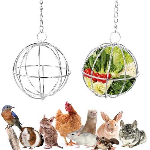 Norhogo 2 Stück Edelstahl Feeder Ball, Feeder Spielzeug mit Hängenden Haken, Edelstahl Nager Futterball, Heuball zum Aufhängen für Meerschweinchen, Hamster, Kaninchen Nager Fuer, 8cm Norhogo 2 Stück Edelstahl Feeder Ball, Feeder Spielzeug mit Hängenden Haken, Edelstahl Nager Futterball, Heuball zum Aufhängen für Meerschweinchen, Hamster, Kaninchen Nager Fuer, 8cm von Norhogo