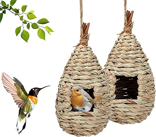 Norhogo 2 Stück Gras Bird Nest, Vogelhäus zum Aufhängen, Handgewebte Vogelhütte Gras Bird Nest, für Wellensittich Meise, Kanarienvogel, Amsel, Hummingbird für Kleine Vögel Drinnen Draußen Garten von Norhogo