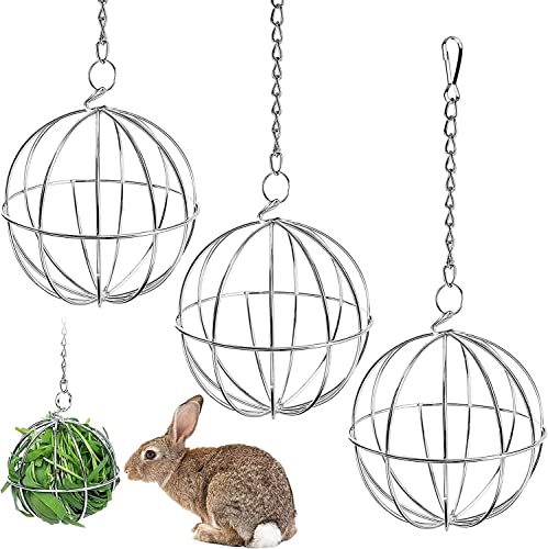 Norhogo 3 Stück Edelstahl Feeder Spielzeug, Heuball zum Aufhängen, Pet Gras Ball Edelstahl, Heuball zum Aufhängen, für Hase Meerschweinchen Kaninchen Chinchillas Hamster von Norhogo