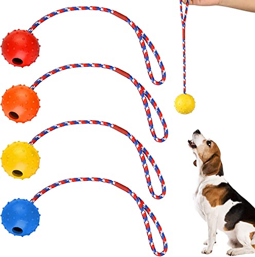 Norhogo 4 Stück Wurfball Hund, Ball für Hunde, Ball mit Seil Naturkautschuk, Hundeball Weich und Elastisch Vollgummiball für Große & Kleine Hunde Werfen Fangen Werfe für Hunde von Norhogo
