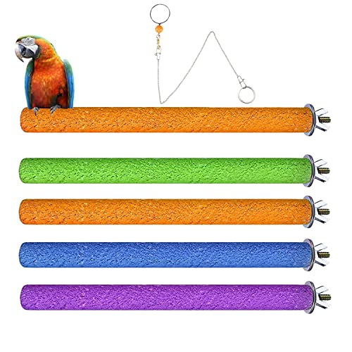 Norhogo 5 Stück 20cm Papageien Sitzstangen Natürliche Pfote Schleifen Spielzeug für Papageien Vogel Kauspielzeug kommt mit einem Papagei Halsband, zufällige Farbe von Norhogo