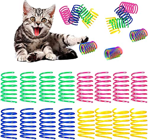 Norhogo 60 Stück Kunststoff Cat Spring Toys, Buntes interaktives Spielzeug der Katze Kunststoff-Spiralfedern Katzenspielzeug Bunte Spirale, für Katze Schlagen, Beißen und Jagen (zufällige Farbe) von Norhogo