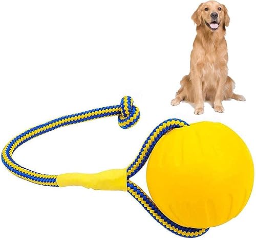 Norhogo Ball mit Seil Hundespielzeug, Hundespielzeug,Hunde-Wasserschwimmer-Spielzeugball Wurfball, Hund Gummiball mit Elastische für Kleine Große Hunde, Hundezahnpflege Reinigungszähn von Norhogo