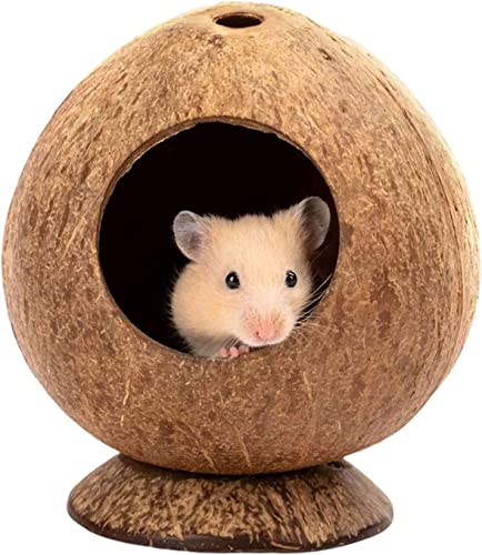 Norhogo Hamsterversteck Coconut,Hamsterkäfig Zubehör Kauspielzeug Kleintier-Lebensraum-Dekoration, Haustierhöhle, Nistzubehör für Gerbils, Mäuse von Norhogo